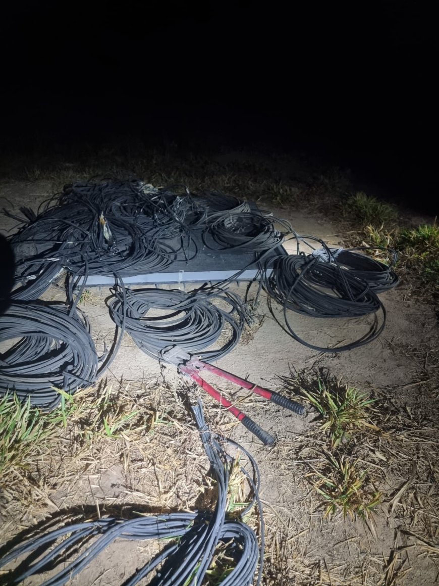 Polícia Militar prende quatro indivíduos por furto/participação em organização criminosa