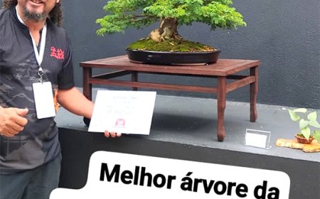 Artista patense ganha prêmio de melhor árvore da exposição nacional de bonsai em 2026.