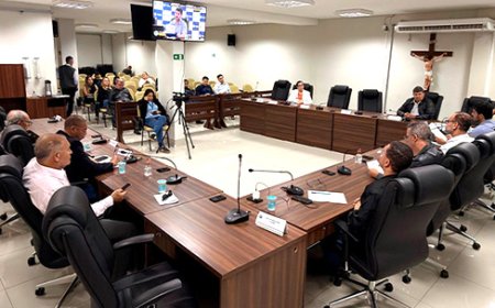 Câmara Municipal e Prefeitura de Patos de Minas promovem Audiência Pública sobre alteração territorial da Rações Patense