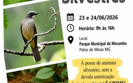 Entrega voluntária de animais silvestres é realizada em Patos de Minas