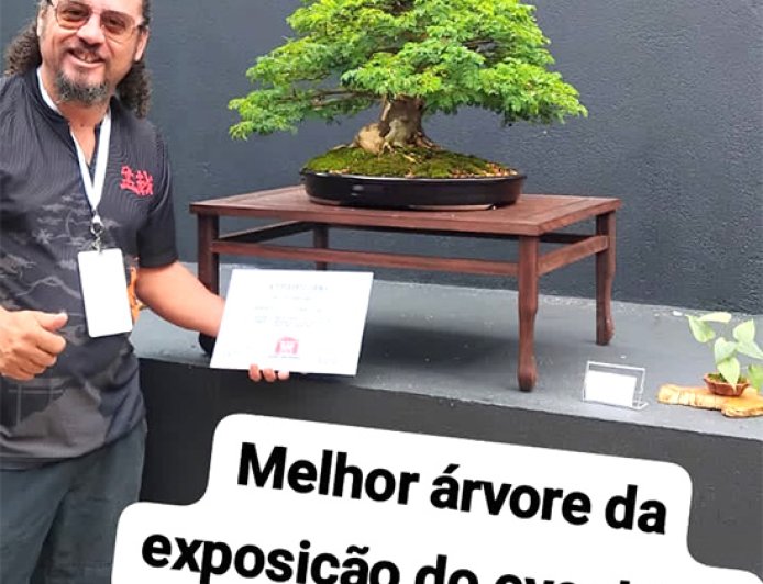 Artista patense ganha prêmio de melhor árvore da exposição nacional de bonsai em 2026.