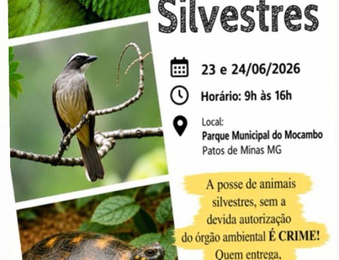 Entrega voluntária de animais silvestres é realizada em Patos de Minas