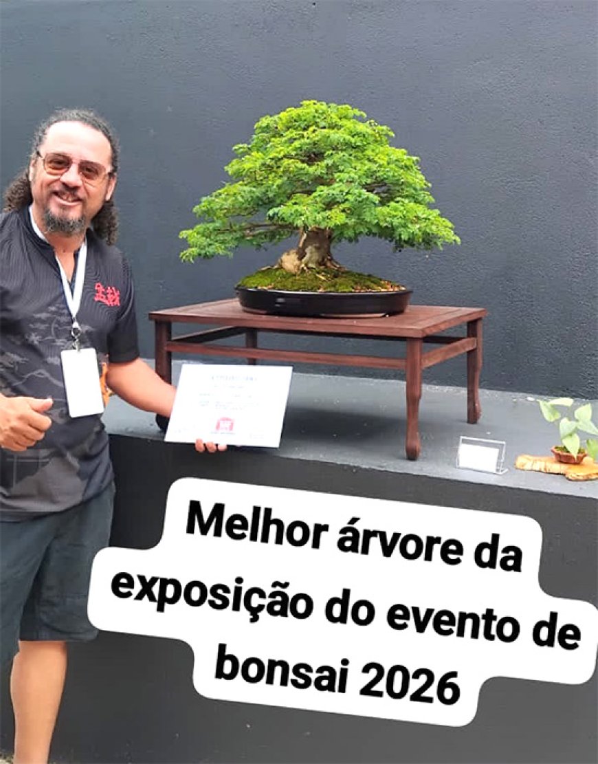 Artista patense ganha prêmio de melhor árvore da exposição nacional de bonsai em 2026.