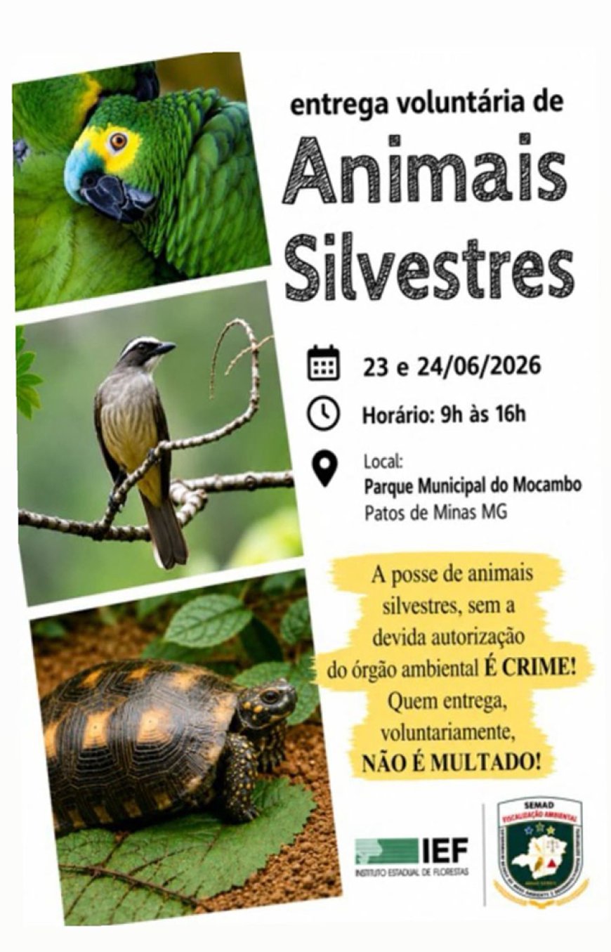 Entrega voluntária de animais silvestres é realizada em Patos de Minas